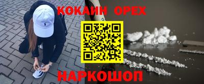 индика Сланцы