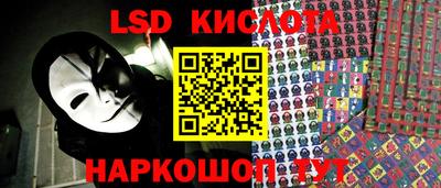 индика Сланцы