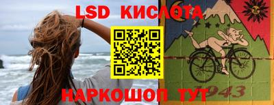 индика Сланцы
