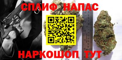 индика Сланцы