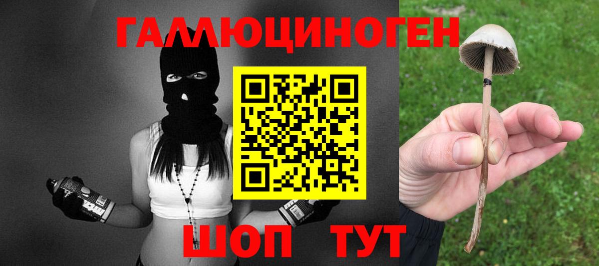 Галлюциногенные грибы GOLDEN TEACHER  Вход с VPN  Аша 